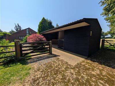 Picture 26